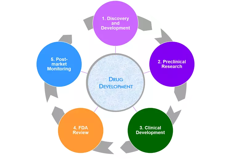 Drug Development - Phases & Stages