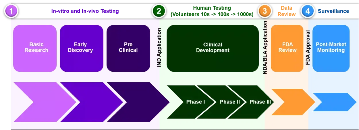 US Drug Development - Process Overview