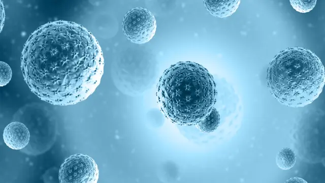 Cell-Based Assay | NorthEast BioLab