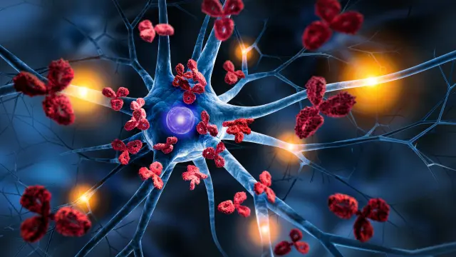 Cell Cytotoxicity | NorthEast BioLab