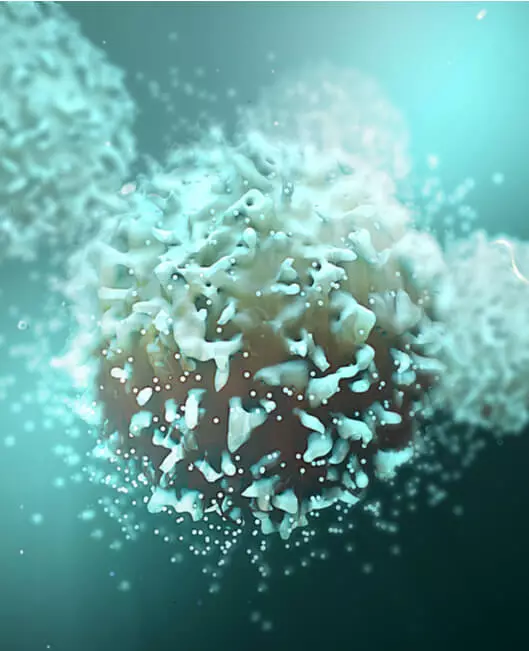 Cytotoxicity Testing to Achieve Accurate Detection and Quantitation during Drug R&D | NorthEast BioLab