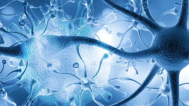 Mechanism Of Action Study | NorthEast BioLab