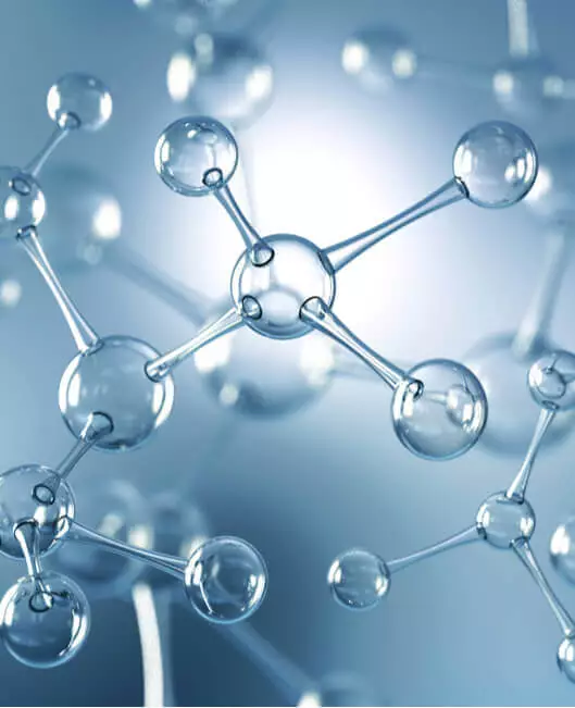 Calibration Curve controls Assay Sensitivity | NorthEast BioLab