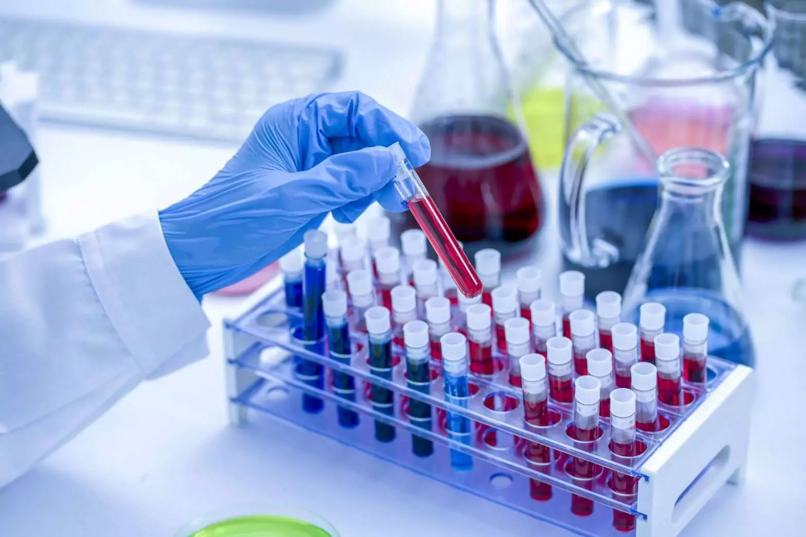 Pharmacokinetics Pk Pharmacodynamics Pd Pk Pd Northeast Biolab
