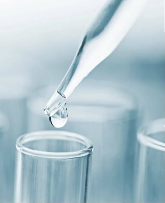 Biochemical Assay Development and Analysis from Drug Discovery and Preclinical to Clinical Phases | NorthEast BioLab