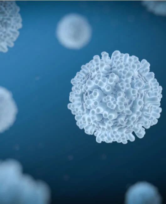 Biochemical Assays and Analysis to Characterize Drug Targets | NorthEast BioLab