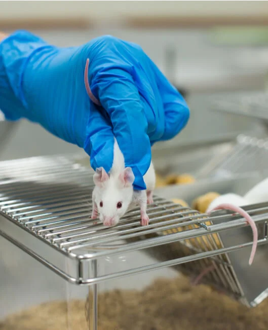 Animal Toxicity Testing | NorthEast BioLab
