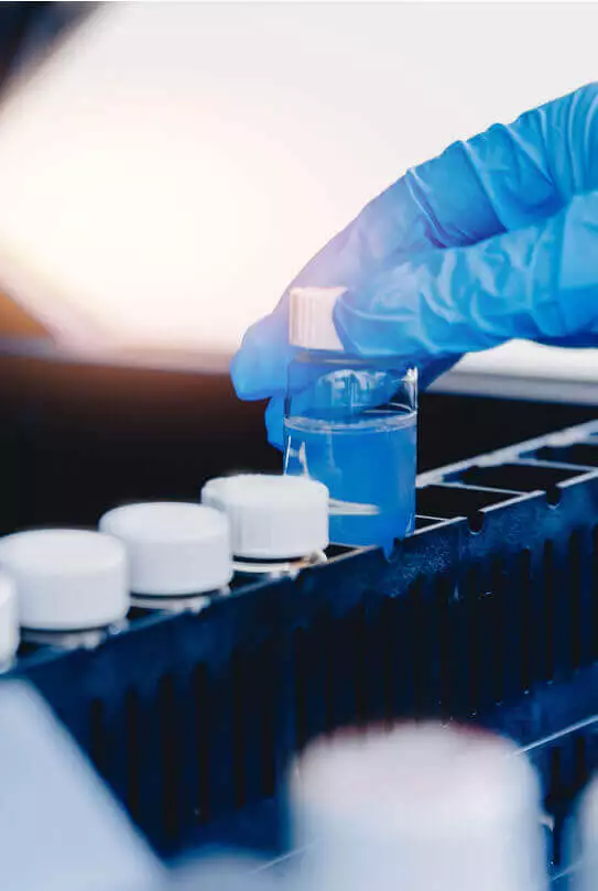 Drug Development | NorthEast BioLab