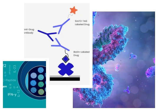 Meso Scale Discovery: ECL Multiplex Assays For Cytokine ELISA, Immunogenicity, & PK | NorthEast BioLab