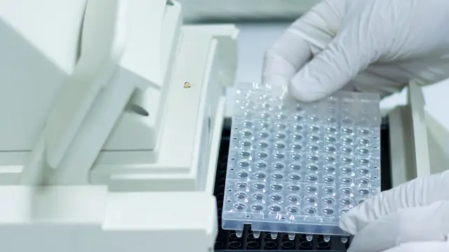 Real Time Quantitative (qPCR) Analysis | NorthEast BioLab