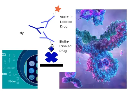 Bioanalytical Lab Services