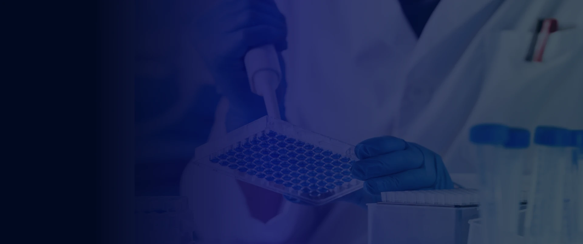 PK PD Assay And Analysis | NorthEast BioLab