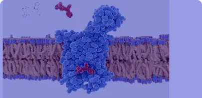 Chemokines | NorthEast BioLab