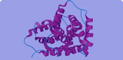 Interleukins | NorthEast BioLab