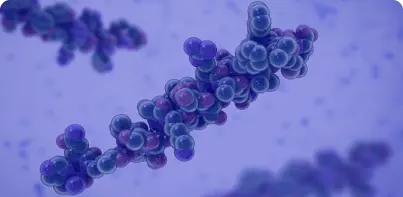 Vectors | NorthEast BioLab