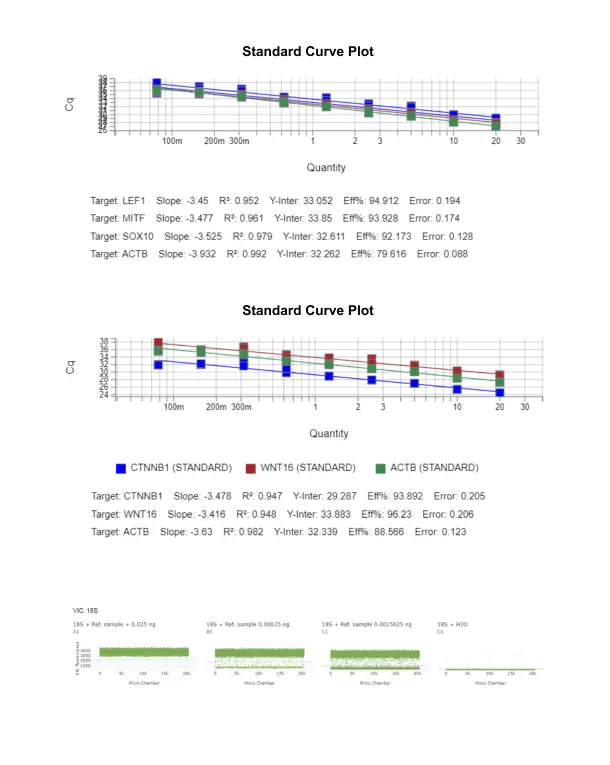 TaqMan Gene Expression Assay - Standard Curve Plot