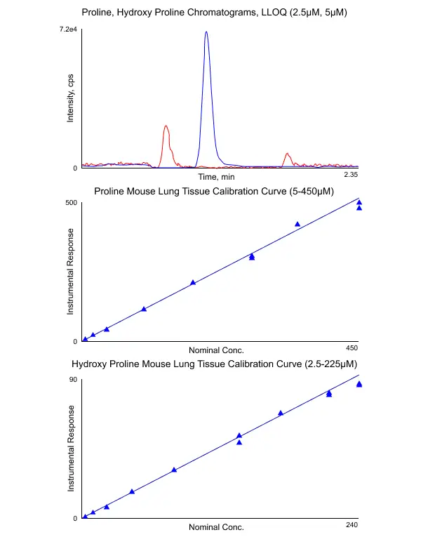 Proline Amino Acid, Collagen Synthesis, Hydroxyproline Assay