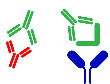 Indirect Cell Based Assay