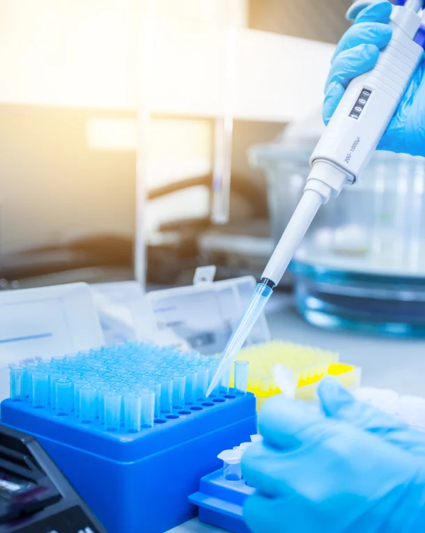 Qpcr Expression Analysis