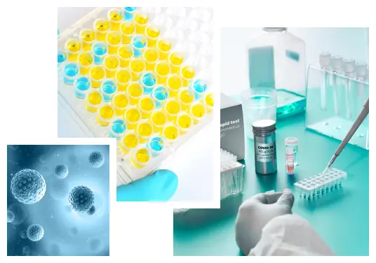 Bioanalytical Lab Services