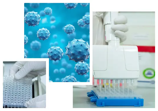 Bioanalytical Lab Services