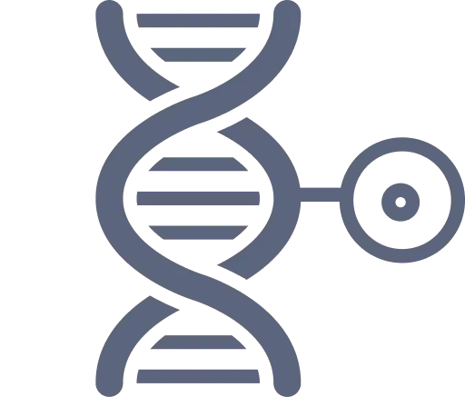 Bioanalytical Assay Lab Service