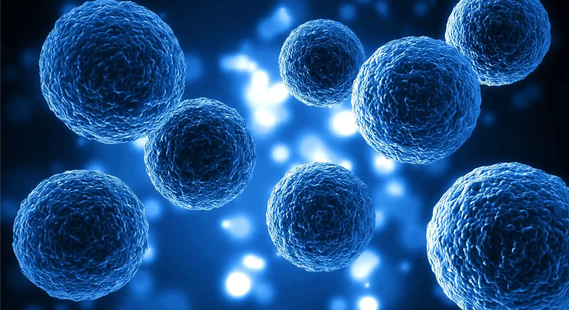 Bioanalytical Lab Assay