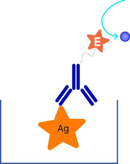 types of elisa