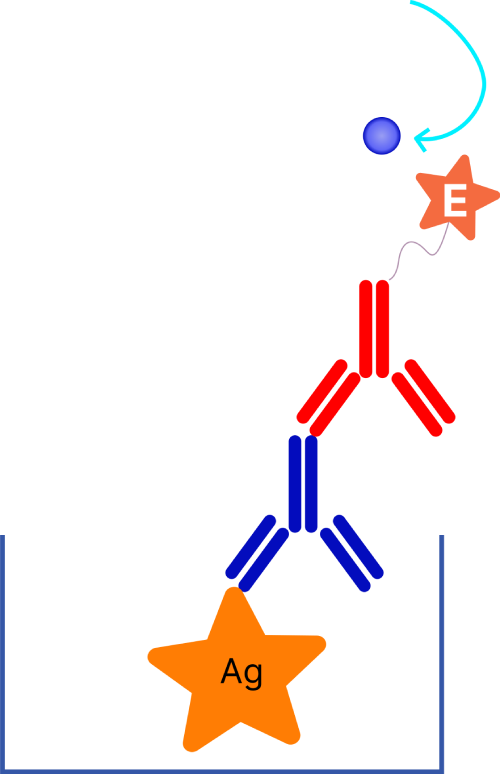 types of elisa