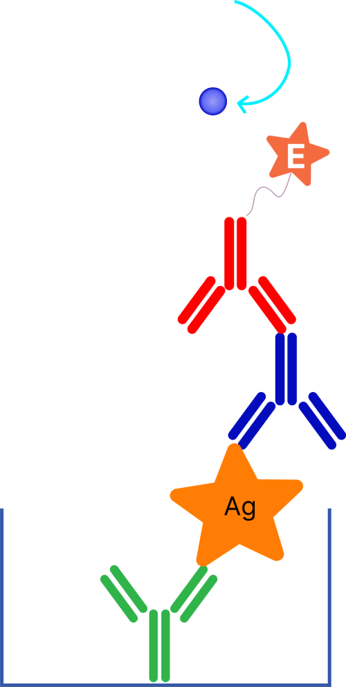 types of elisa
