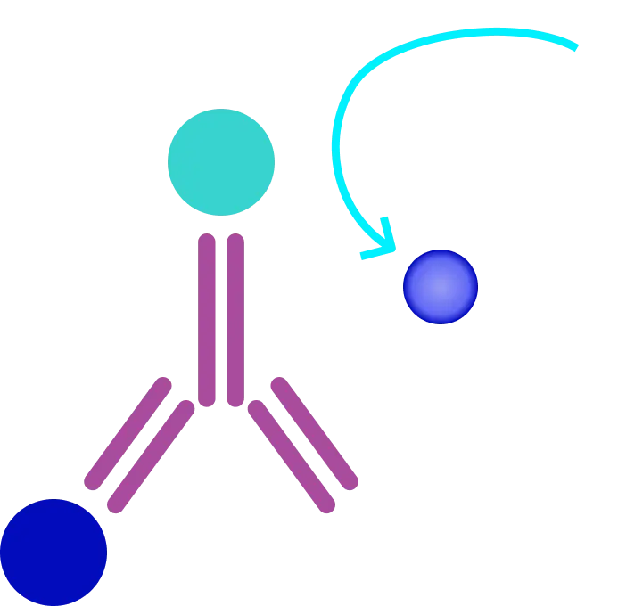 types of elisa