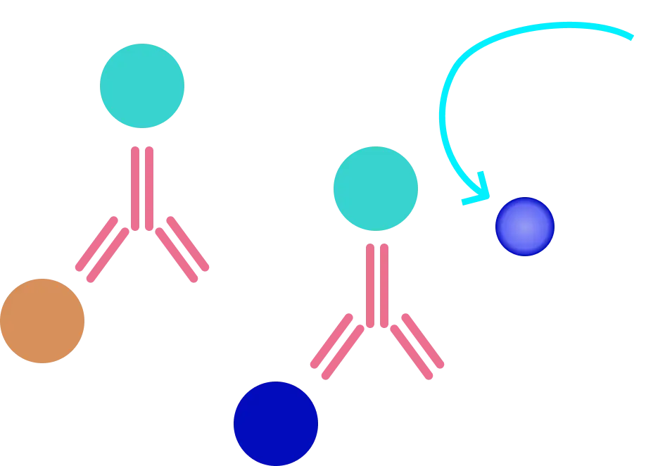 Elisa Assay Method