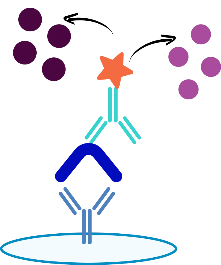 ELISA Methods and Formats