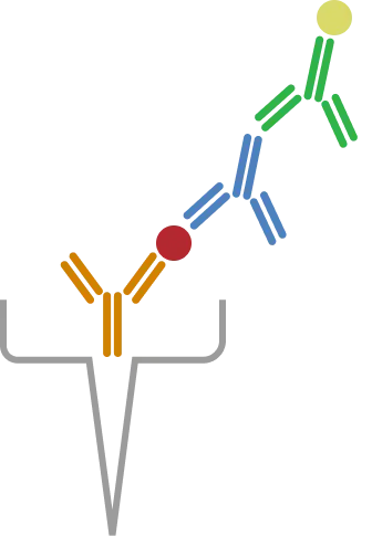 types of elisa