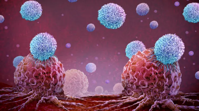 Cytokine-Assay