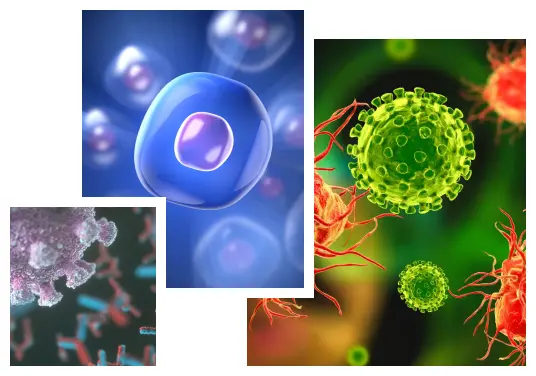 Bioanalytical Lab Services